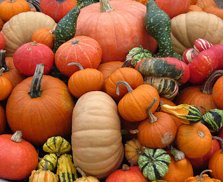 Pumpkin Decor It's Fall Yall!